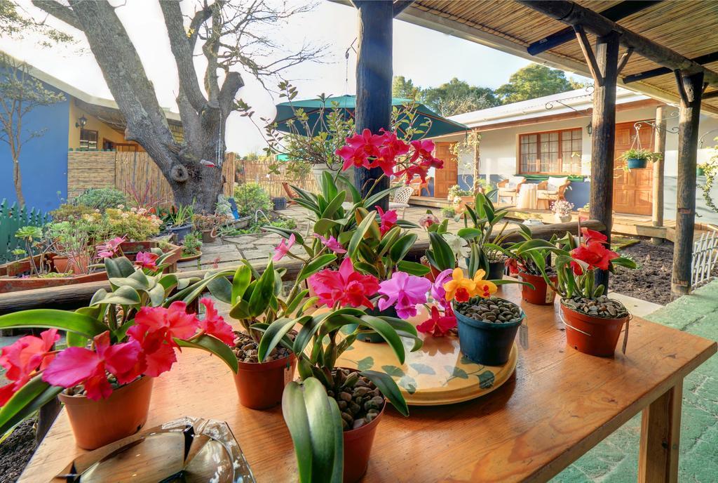 Outeniqua Travel Lodge George Bagian luar foto